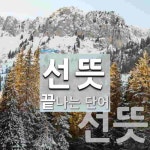 선뜻으로 끝나는 단어는? 2개