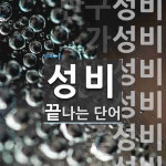 성비로 끝나는 단어는? 28개