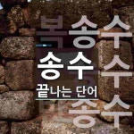 송수로 끝나는 단어는? 4개