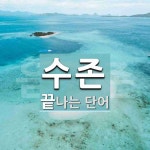 "수존" 끝 단어