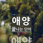 사단법인애양청소년오케스트라 | "애양" 끝 단어