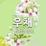 우채로 끝나는 단어는? 1개