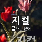 와이지브이컬 | 지컬로 끝나는 단어는? 21개