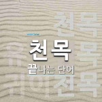 약목내사랑천짱 | 천목으로 끝나는 단어는? 3개