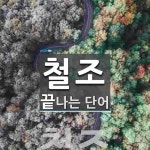 철조로 끝나는 단어는? 1개