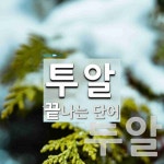 주식회사 투알 | 투알로 끝나는 단어는? 3개