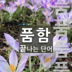 "품함" 끝 단어