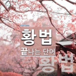 황법으로 끝나는 단어는? 6개