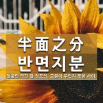 일면지연일面지緣 | 半面之分(반면지분)의 뜻과 관련 한자어