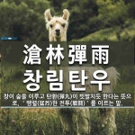 (주)창림플랜트 - 15154 | 滄林彈雨(창림탄우)의 뜻과 관련 한자어