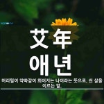 艾年(애년)의 뜻과 관련 한자어