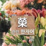 榮(영화 영,꽃 영)에 관한 한자/한자성어/사자성어 13개 榮(영화 영,꽃 영)에 관한 한자/한자성어/사자성어 13개