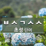 기술사사무소창빛 | 초성 ㅂㅅㄱㅅㅅ(으)로 이루어진 단어 4개