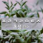 초성 ㅍㄹㄱㄹㅁㅌㅅ 단어