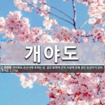 개야1구 경로당 | 개야도 뜻