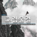 고립물결 뜻: 해수면에서 단 하나의 물결 마루만 형성되어 움직이는 주기가 없는 물결.