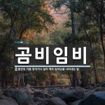 곰비임비 뜻: 물건이 거듭 쌓이거나 일이 계속 일어남을 나타내는 말.