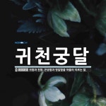 귀천궁달 뜻: 귀함과 천함, 곤궁함과 영달함을 아울러 이르는 말.