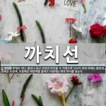 슈퍼싸이즈세종아름점;디자인선 | 까치선 뜻