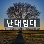 (주)난대림(4종) | 난대림대 뜻