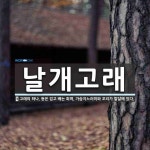 날개고래 뜻: 고래의 하나. 등은 검고 배는 희며, 가슴지느러미와 꼬리가 발달해 있다.