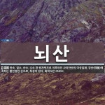 뇌산 뜻