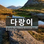 다랑이디톡스월드 | 다랑이 뜻