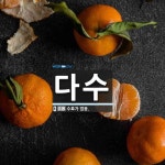 다수 뜻: 수효가 많음.
