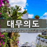 대무의도 뜻: 인천광역시 중구에 속하는 섬. 수산업의 중심지로 조기, 삼치, 도미 따위가 많이 잡힌다. 대무의도 뜻: 인천광역시 중구에 속하는 섬....