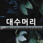 반월깜장머리 | 대수머리 뜻