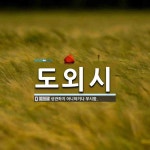 도외시 뜻: 상관하지 아니하거나 무시함.