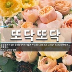 또닥또닥 뜻