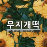 무지개떡 뜻: 층마다 다른 여러 가지 빛깔을 넣어서 시루에 찐 떡.