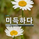 미득김치찜 | 미득하다 뜻