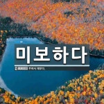 미보앤퓨처스 | 미보하다 뜻: 꾸려서 채우다.
