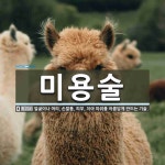 미용술 뜻: 얼굴이나 머리, 손발톱, 피부, 치아 따위를 아름답게 만드는 기술.