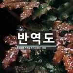 반역도 뜻: 반역을 하거나 꾀하는 무리.