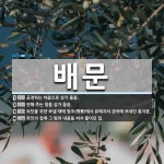 배문 뜻