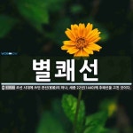 박원장의 수기쾌유 | 별쾌선 뜻