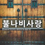 불나비노래궁 | 불나비사랑 뜻