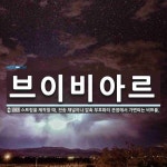 브이비아르 뜻