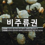 스타핏리권 | 비주류권 뜻