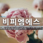 비피엠에스 뜻: 기업의 업무 흐름을 한눈에 볼 수 있도록 만들고 인력과 시스템을 적절하게 투입하여 전체 업