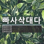 빠사삭대다 뜻
