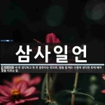 삼사일언 뜻: 세 번 생각하고 한 번 말한다는 뜻으로, 말을 할 때는 신중히 생각한 후에 해야 함을 이르