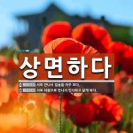 상면하다 뜻