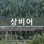 상비어 뜻