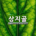 상지골건강원 | 상지골 뜻