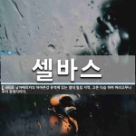 셀바스 뜻