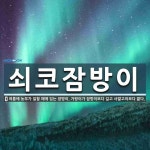 쇠코잠방이 뜻: 여름에 농부가 일할 때에 입는 잠방이. 가랑이가 잠방이보다 길고 사발고의보다 짧다.